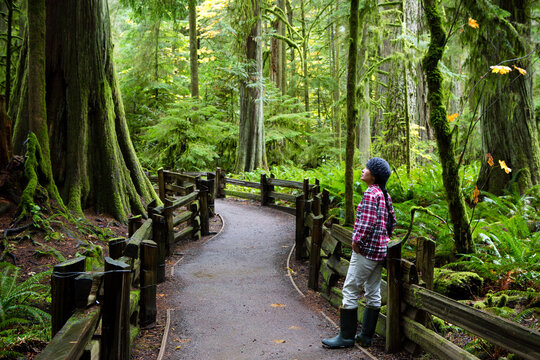 Tourist MacMillan Provincial Park Forest Grove Vancouver Island