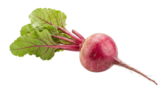 Fresh beetroot with green leaves on black background
