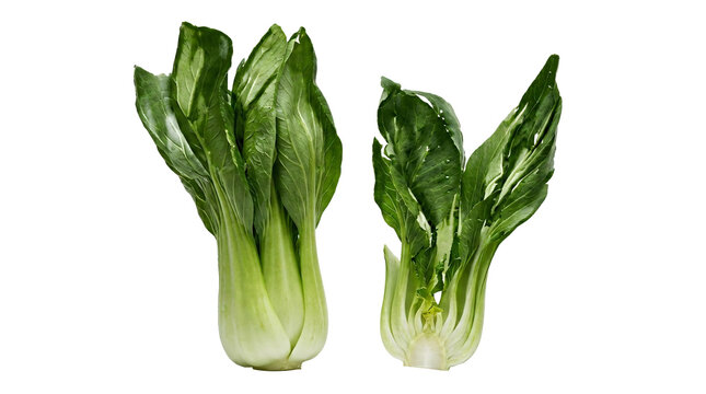 Two green onions or scallions on a black background
