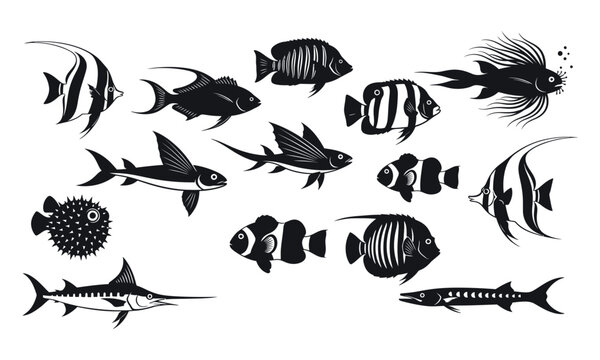 Set of black silhouette tropical fish icons including shark clownfish and various ocean sea animal species