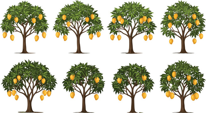 Mango trees collection with ripe yellow fruits, tropical orchard plants set with lush green foliage isolated on light background realistic vector illustration