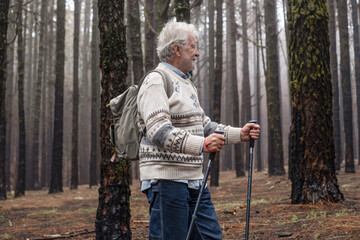 Fototapeta premium Senior Man Hiking Through Misty Pine Forest With Backpack And Trekking Poles On Nature Walk