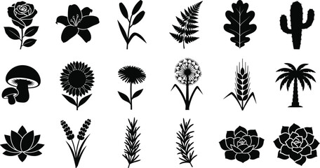 Collection of black silhouette of various plants and flowers on white background, rose lily fern oak leaf © hr graphics