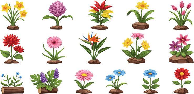 Beautiful Collection of Spring Garden Flowers and Tropical Plants Featuring Lilies, Daisies, and Bird of Paradise for Landscaping, Gardening, and Botanical Nature Graphic Design Illustrations