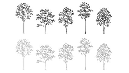 Naklejka premium Minimal CAD tree drawings for architectural and landscape plans, top view symbols and clean outline vegetation elements for site plans and urban design