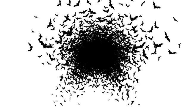 Flock of birds flying into a dark void