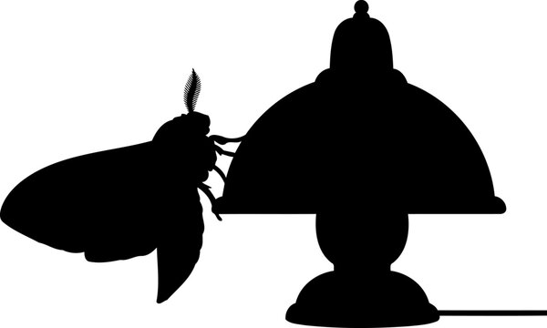 Large moth silhouette attracted to a vintage table lamp