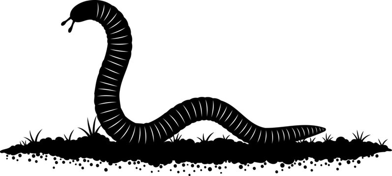 Segmented earthworm silhouette crawling across dark garden soil