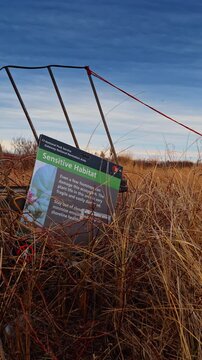 Tall dry grass in the field against the overcast sky. A sign telling about sensitive habitat lies in the thickets. Vertical video.