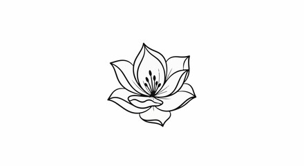 Fototapeta premium Delicate black line art of an open flower with multiple petals and visible stamen