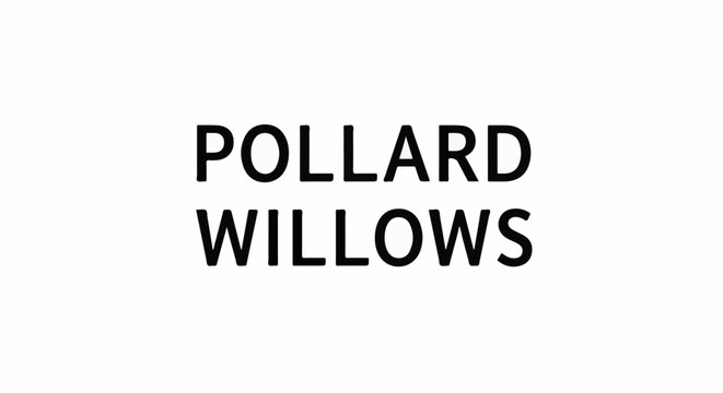 Bold black text on white background, "POLLARD WILLOWS