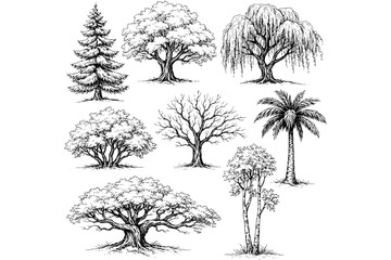 Fototapeta premium Hand Drawn Trees Collection – Minimal Landscape Design Elements