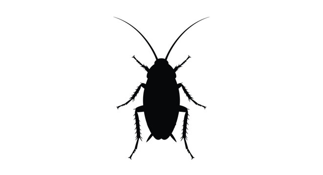 A stark black silhouette of a cockroach detailed antennae and legs silhouette