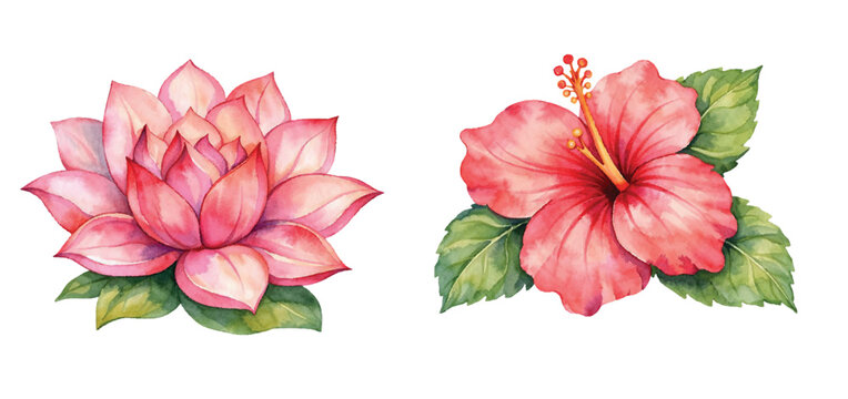 Watercolor pink lotus and red hibiscus flower illustration set with soft petal textures and green leaves isolated on a white background for botanical posters and tropical design projects