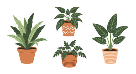 Fototapeta premium Set of four different types of indoor green houseplants in terracotta pots with various leaf shapes for interior home decoration.