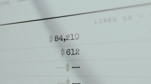 Tax document with itemized financial amounts per line entry