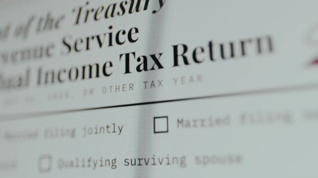 Section of a U.S. tax document Form 1040