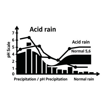Acid rain formation infographic vector illustration. Diagram of environmental pollution and its impact on nature.