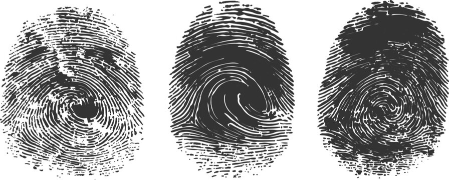 Detailed realistic human fingerprints with distressed grunge texture and biometric scanning concept vector illustration.