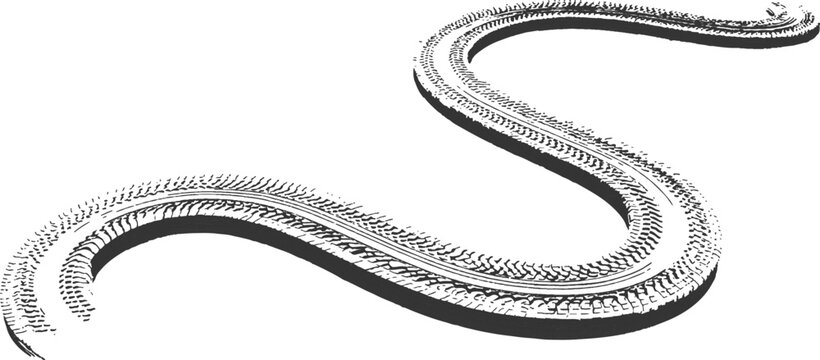 Grunge curving tire track skid mark from offroad vehicle in dirt sand texture vector illustration background. 