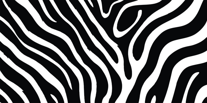 Abstract black and white wavy pattern background with organic fluid lines and zebra stripes vector illustration. 