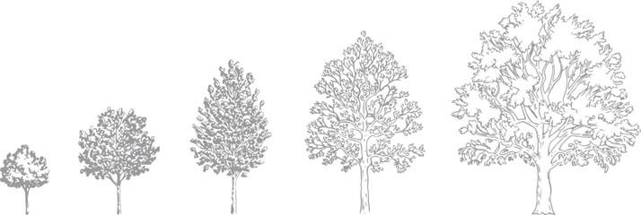 CAD Tree Linework Side View Set for Landscape Design, Precise Vector Tree Symbols for Architectural Drafting, Garden Planning, Urban Projects, High Quality Landscape Presentation Graphics © .