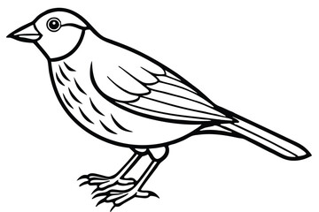 Fototapeta premium finch bird silhouette line art vector illustration with a white background