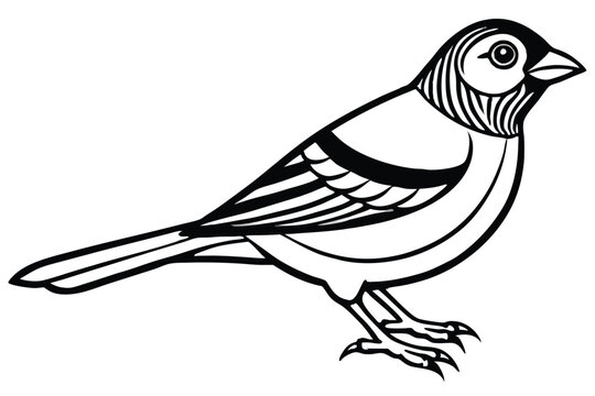finch bird silhouette line art vector illustration with a white background