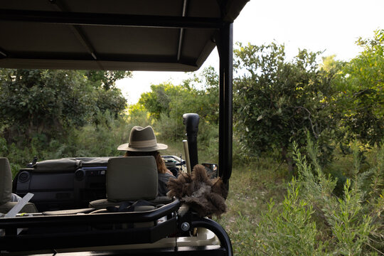 safari guide behind wheel of safari vehicle, okavango Delta, Botswana, Africa