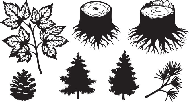 Botanical silhouettes trees leaves and cones in black and white