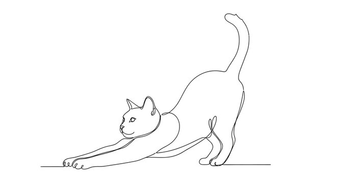 Elegant Cat Stretching Line Art