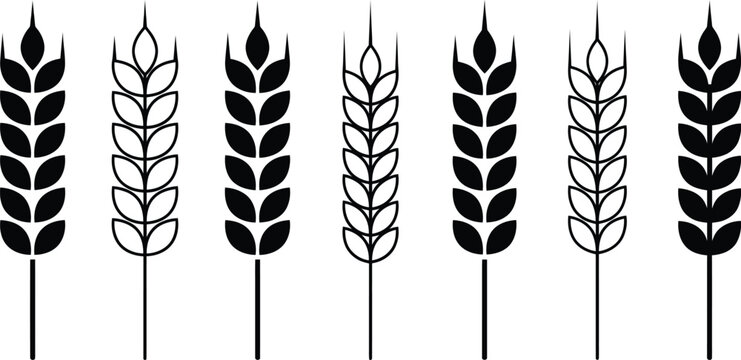 Black wheat icons in different styles on white background isolated on white background, Vector