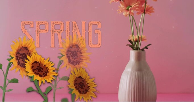 Showing ribbed cream vase holding peach daisies on pink table, SPRING sunflower prints, copy space