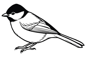 chickadee bird silhouette line art vector illustration with a white background © pipp99