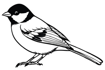 chickadee bird silhouette line art vector illustration with a white background © pipp99