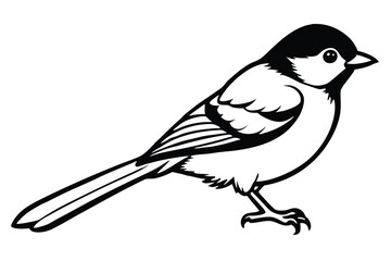Obraz premium chickadee bird silhouette line art vector illustration with a white background