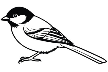 chickadee bird silhouette line art vector illustration with a white background © pipp99