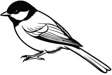 chickadee bird silhouette line art vector illustration with a white background © pipp99