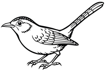 Obraz premium carolina wren bird silhouette line art vector illustration with a white background
