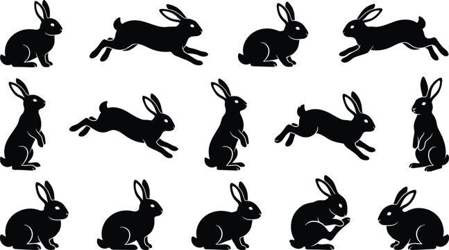 Black Rabbit Silhouettes Collection Featuring Wild Hare Icons in Various Poses Including Running Leaping Sitting and Standing Isolated on White Background