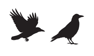 Obraz premium High-quality, scalable vector illustration of a corn bunting for nature-themed projects. 