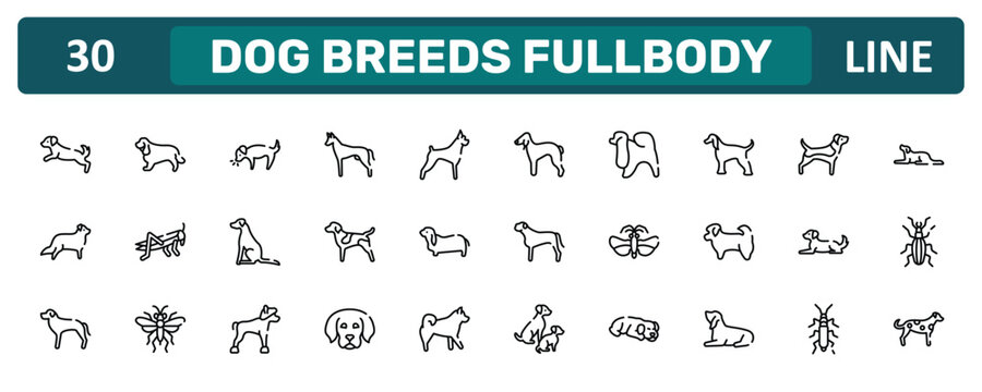 dog breeds fullbody outline icon set featuring dog scaping, afghan hound, dog lying, dalmatian icons.