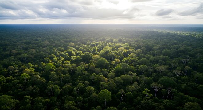 An aerial drone shot over a vast, unbroken canopy of the Amazon rainforest.