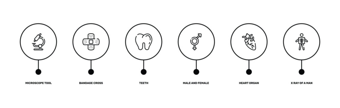 health set outline icon set featuring microscope tool, bandage cross, heart organ, x ray of a man icons.