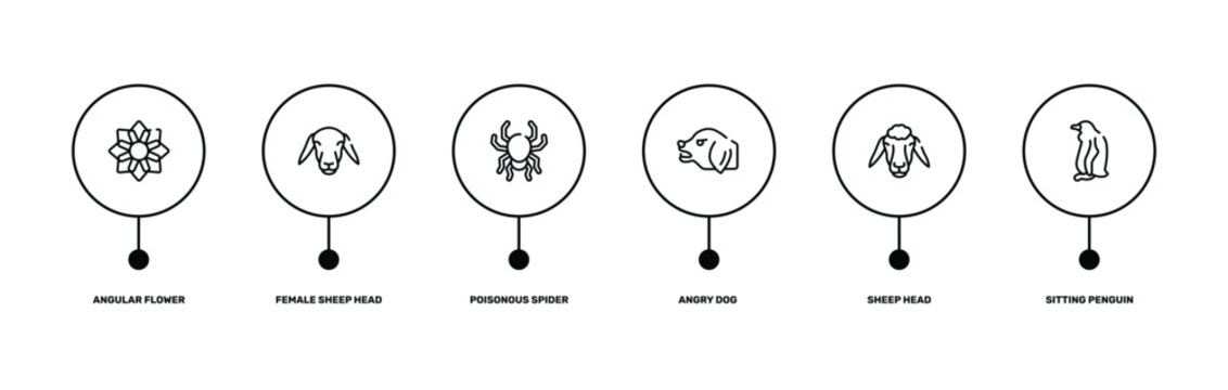 free animals outline icon set featuring angular flower, female sheep head, sheep head, sitting penguin icons.