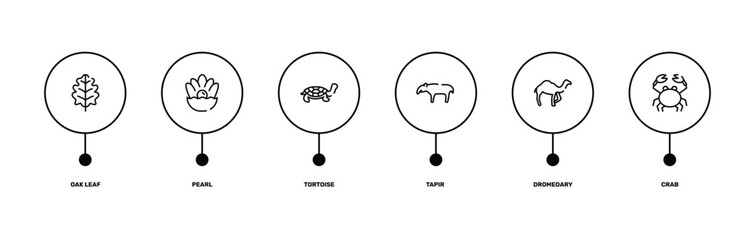 wildlife outline icon set featuring oak leaf, pearl, dromedary, crab icons. © VectorStockDesign