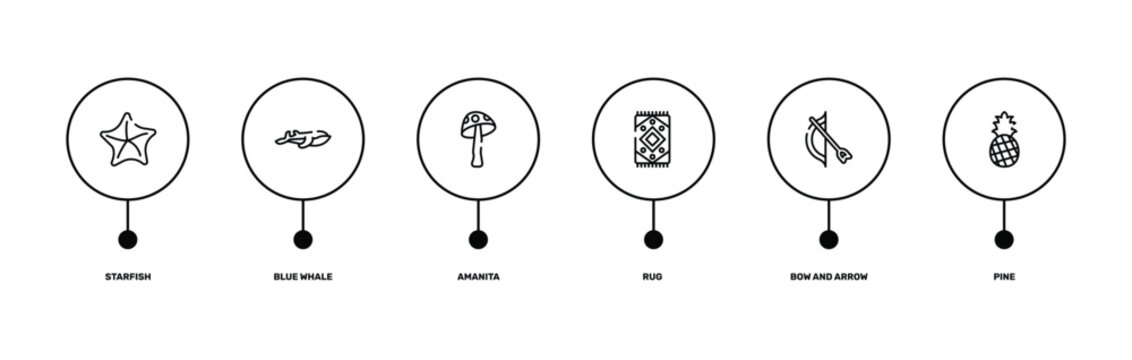 nature outline icon set featuring starfish, blue whale, bow and arrow, pine icons.