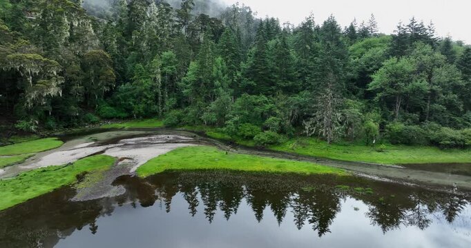 Aerial view of beautiful high altitude forest lake mountain landscape
