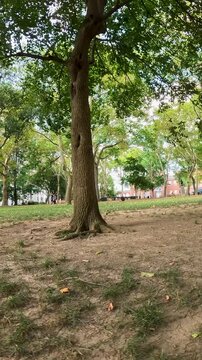 Footage of a gorgeous landscape at Independence Square in Philadelphia Pennsylvania USA