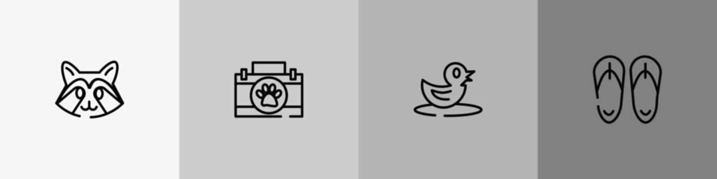 desert outline icon set featuring racoon, animal aid, duck, sandals icons.